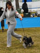 201103177.jpg