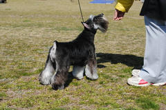 201103178.jpg