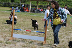 fest02.jpg