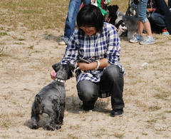 fest06.jpg