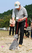 fest11.jpg