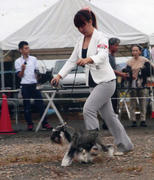 img083.jpg