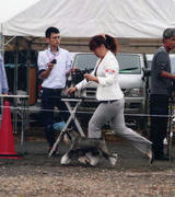 img084.jpg