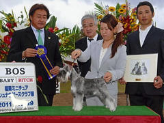 img093.jpg