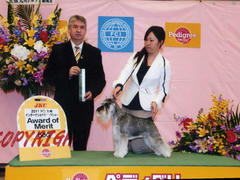 img095.jpg