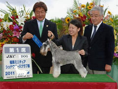 img096.jpg