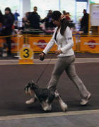 img097.jpg