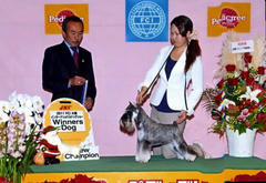 img100.jpg