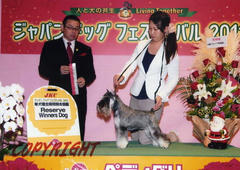 img101.jpg