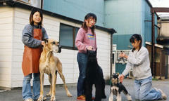img109.jpg