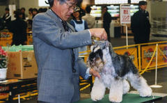 img111.jpg