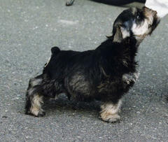 img112.jpg