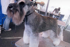 img120.jpg