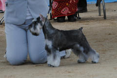 DSC_0646.jpg
