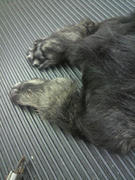 2012072313250000.jpg