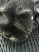 2012072314050000.jpg
