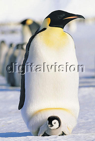de038c8e.jpg