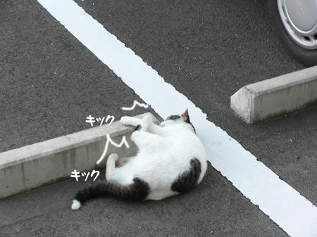 00cd990a.jpeg