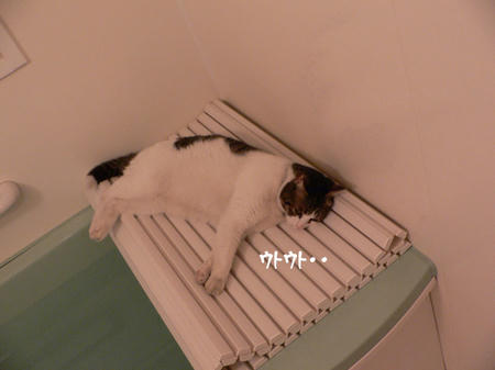 8401b86b.jpeg