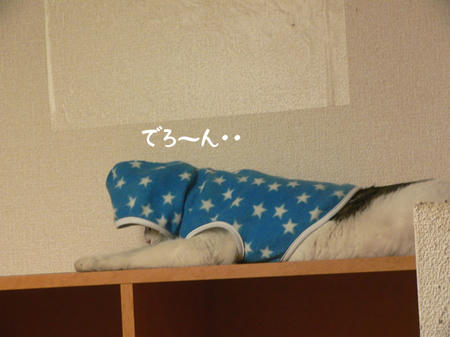 05.jpg