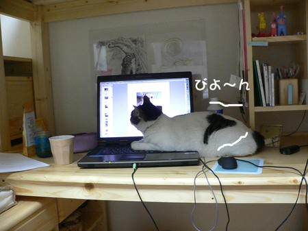 06.jpg