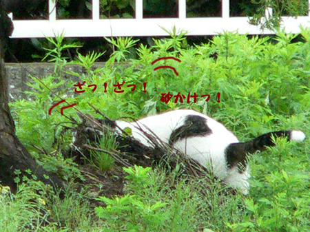 fd7752cf.jpeg