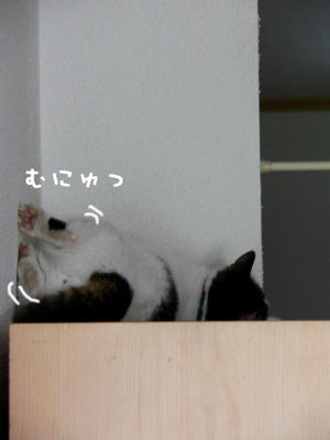 9bd193d5.jpeg