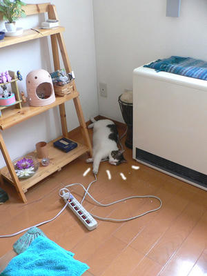 ac05c4d1.jpeg