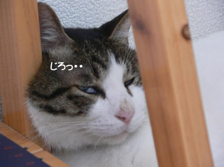 a4fd1199.jpeg