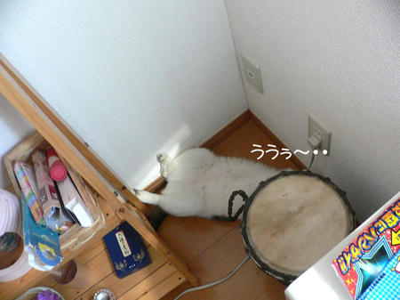788490ee.jpeg