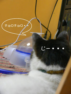 0203b235.jpeg