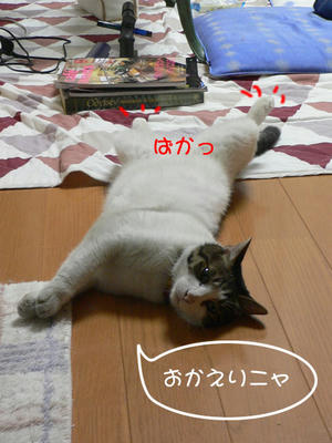 c96a7256.jpeg