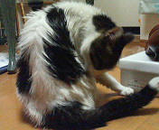 001326082007.jpg