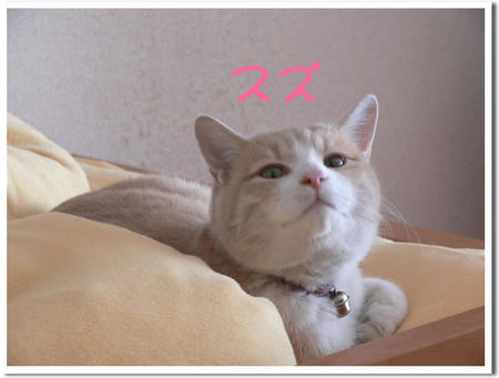 56a13250.jpeg