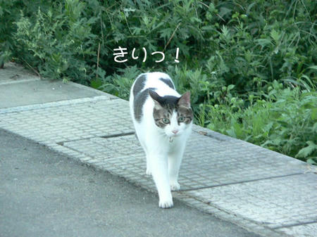d730973a.jpeg