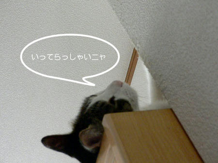 93e55784.jpeg