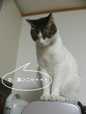 c92735c1.jpeg