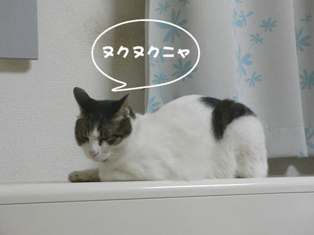 76f5db9d.jpeg