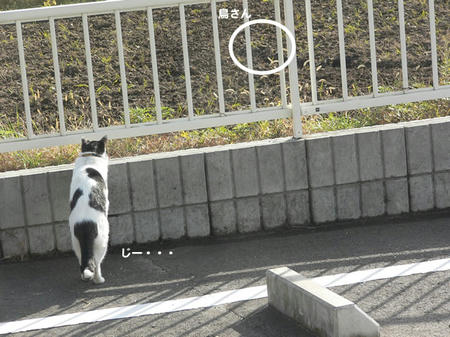 6489d141.jpeg