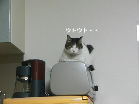 a987422e.jpeg