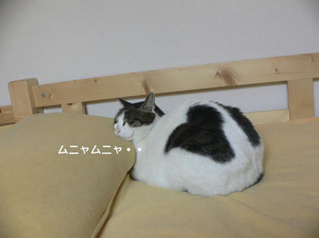 3cf37735jpeg