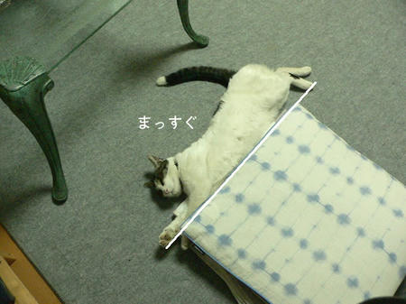 88.jpg