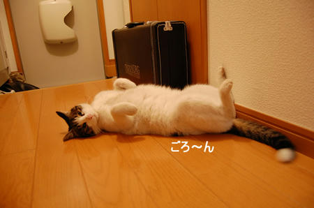 208083a2.jpeg