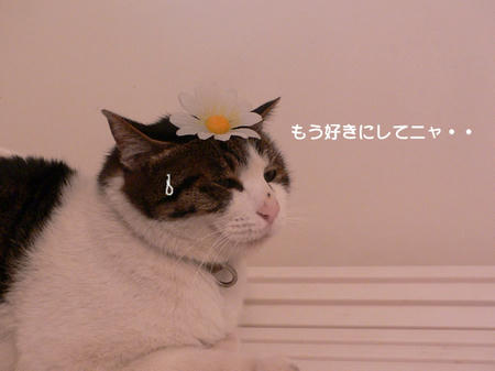 57432a29.jpeg