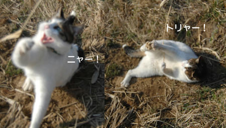 b2e0a3b9.jpeg