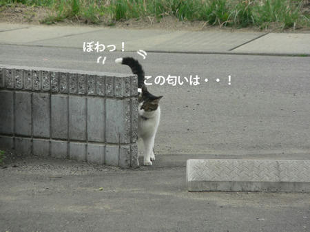 8b859d28.jpeg