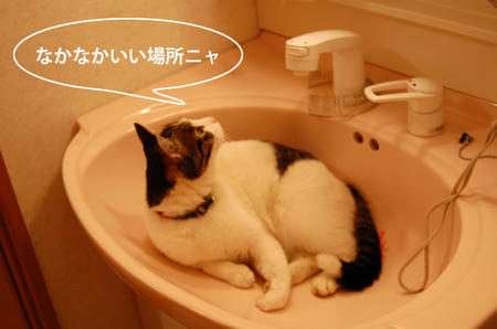 c847d78f.jpeg
