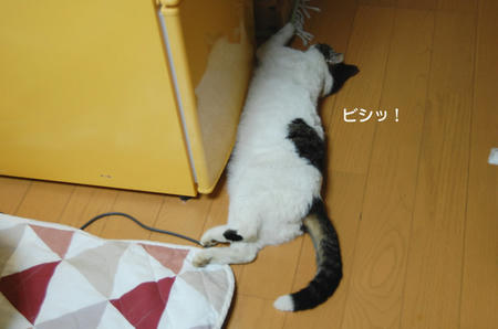 8b171204.jpeg