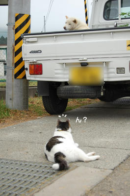08392c5b.jpg