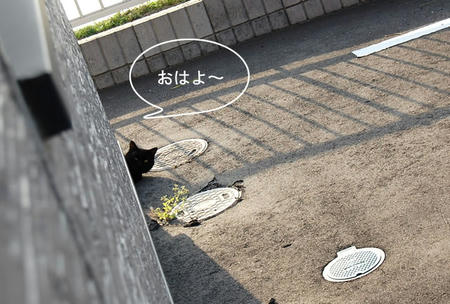 c82587a4.jpeg